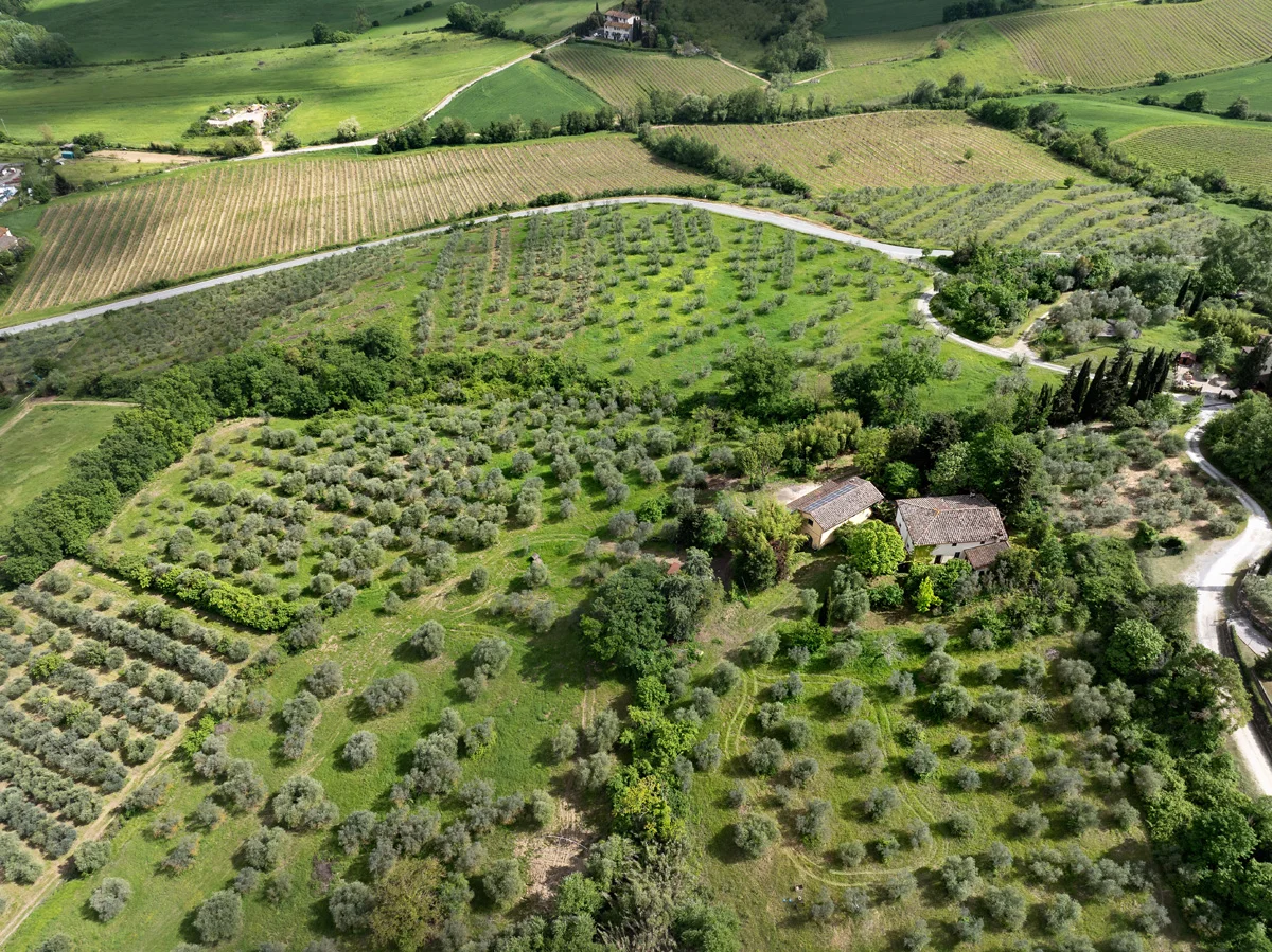 servizio fotografico drone